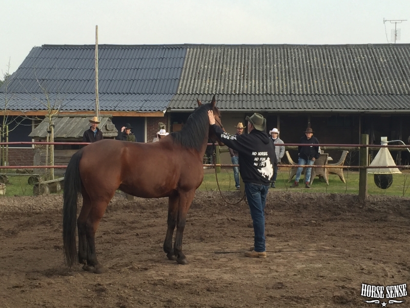 PAS uitleg van Will Verhaeg over contact maken