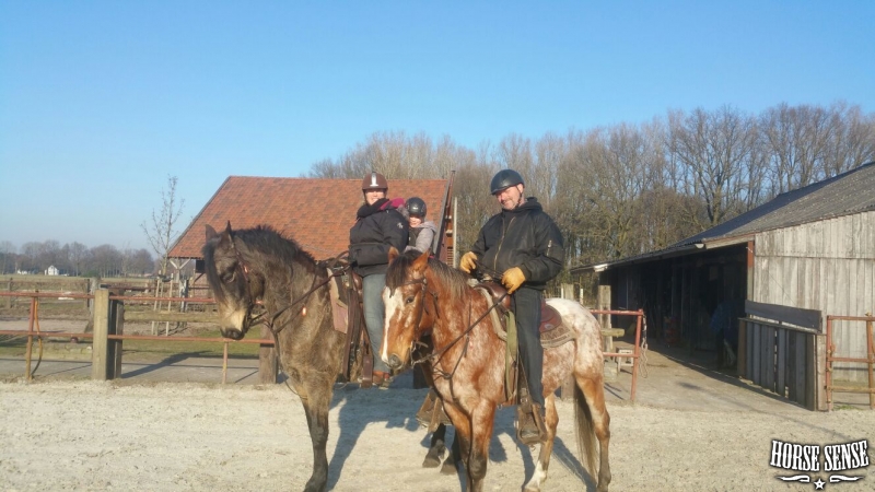 Will & Karin Verhaeg met hun passie de paardensport